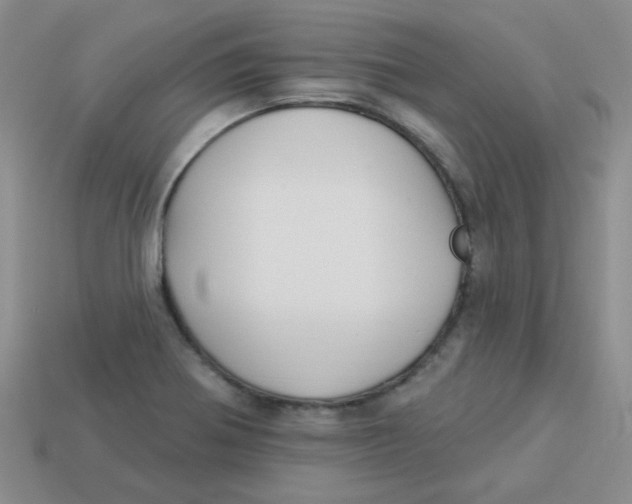 X0000113901370200910151346