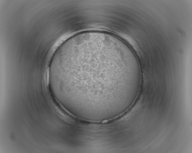 X0000113901371200910151346