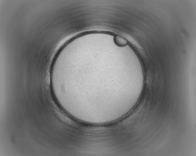 X0000113901372200910151346