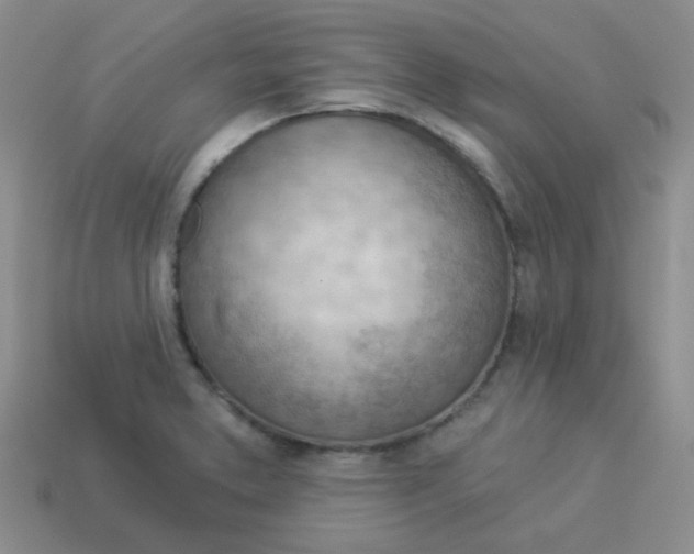 X0000113901373200910151346