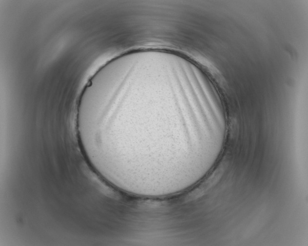 X0000113901374200910151346