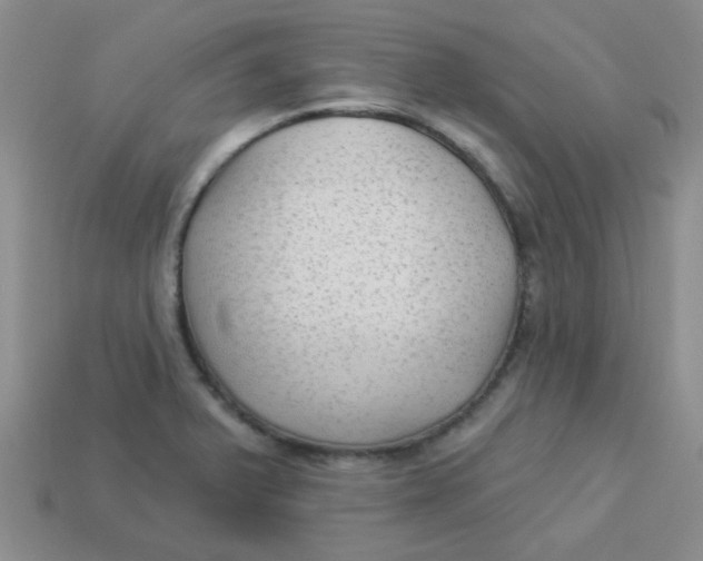 X0000113901375200910151346