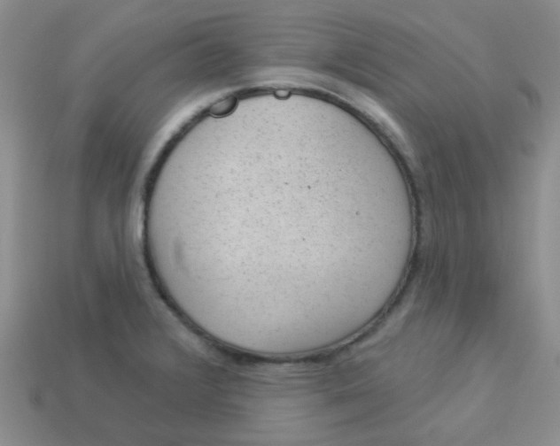 X0000113901376200910151346