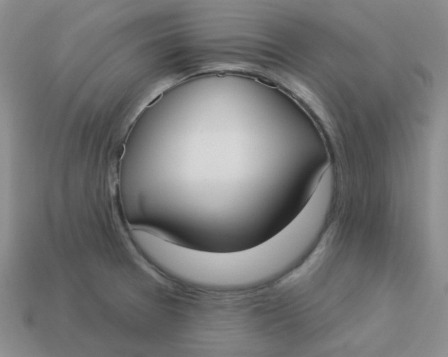 X0000113901377200910151346