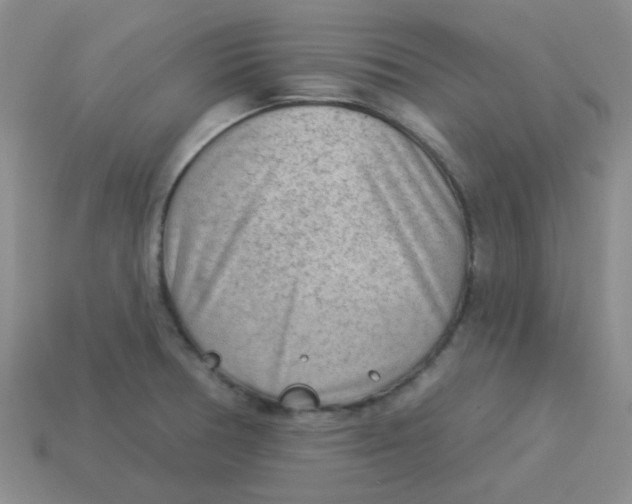 X0000113901378200910151346