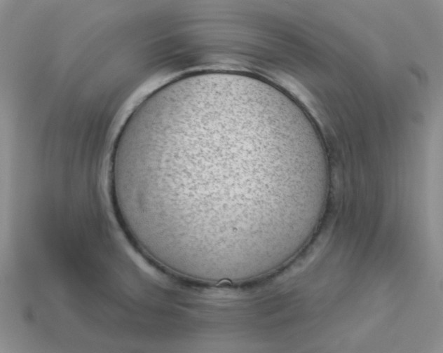 X0000113901379200910151346