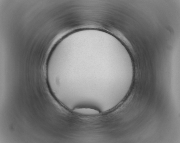 X0000113901380200910151346