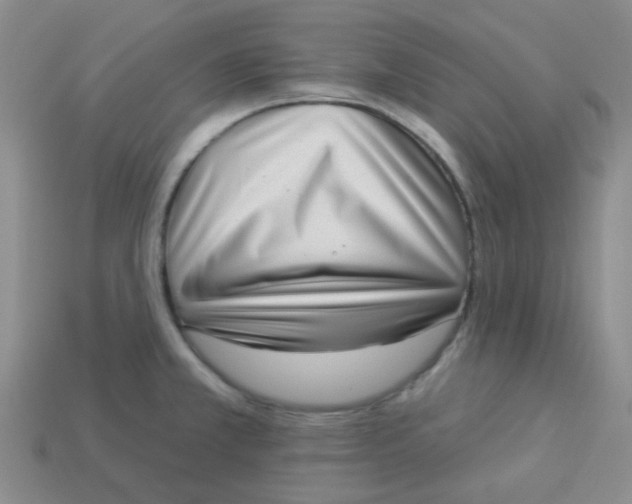 X0000113901381200910151346