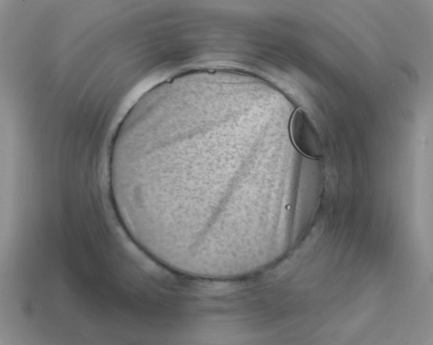 X0000113901382200910151346