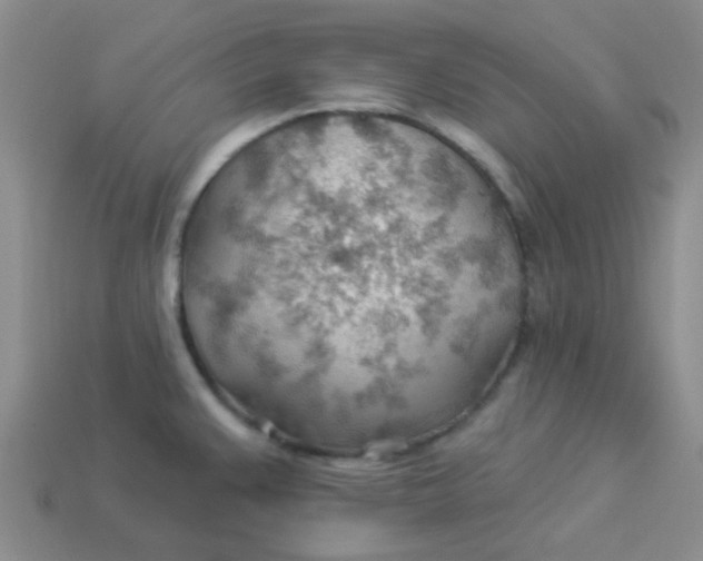 X0000113901383200910151346