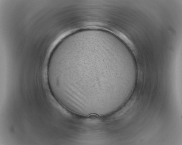 X0000113901384200910151346