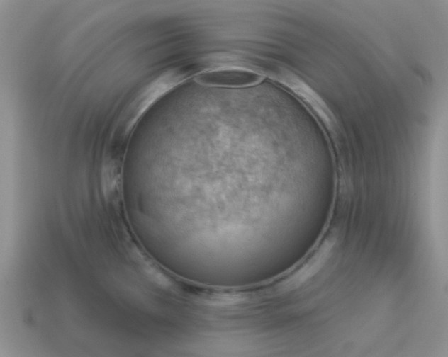 X0000113901385200910151346