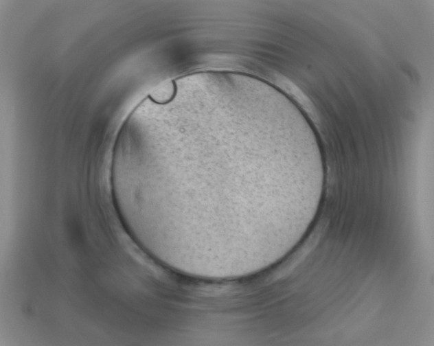 X0000113901386200910151346