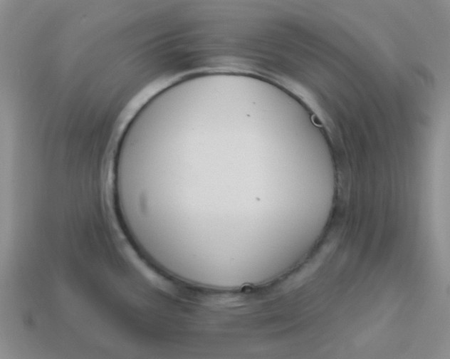 X0000113901387200910151346