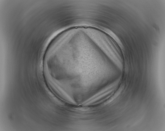 X0000113901388200910151346