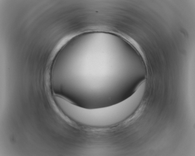 X0000113901389200910151346