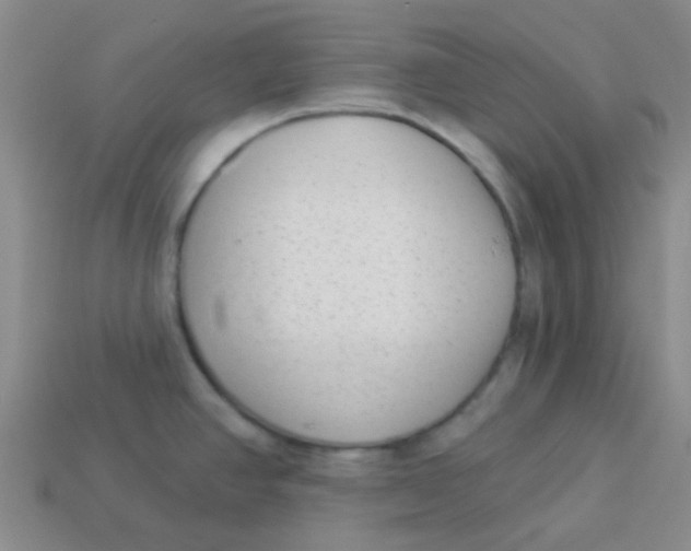 X0000113901390200910151346