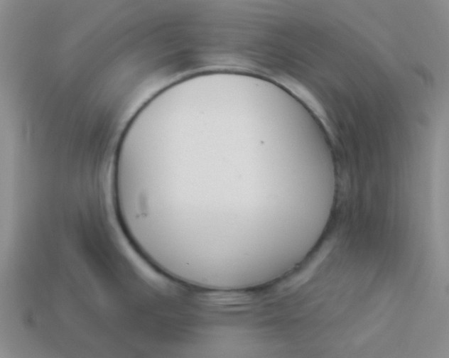 X0000113901391200910151346