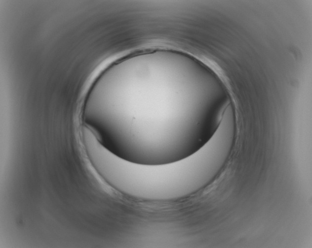 X0000113901392200910151346