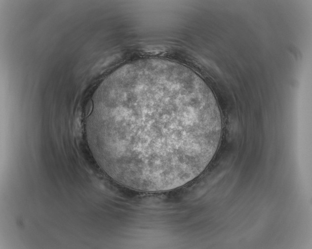 X0000113901394200910151345