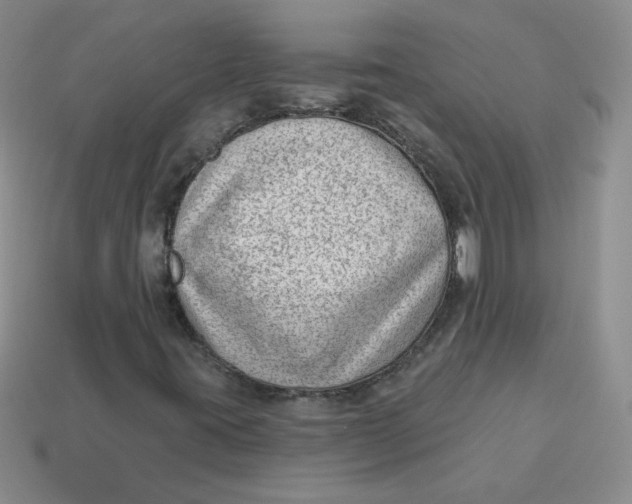 X0000113901395200910151345