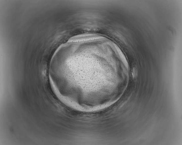 X0000113901396200910151345