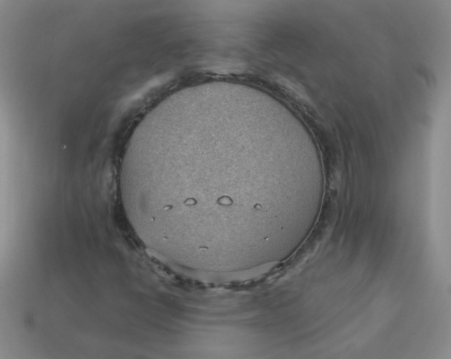 X0000113901398200910151345