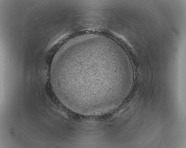 X0000113901399200910151345