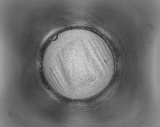 X0000113901400200910151345