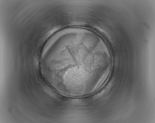 X0000113901401200910151345