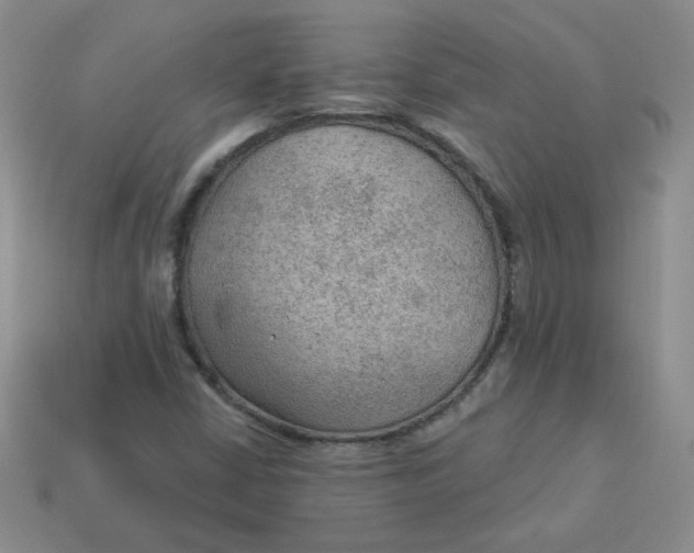 X0000113901402200910151345