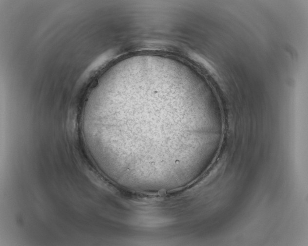 X0000113901403200910151345