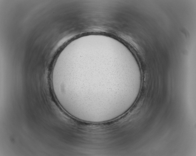 X0000113901404200910151345