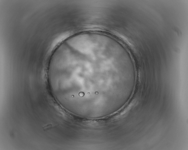 X0000113901405200910151345