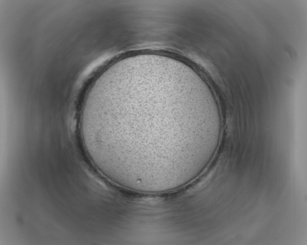 X0000113901406200910151345