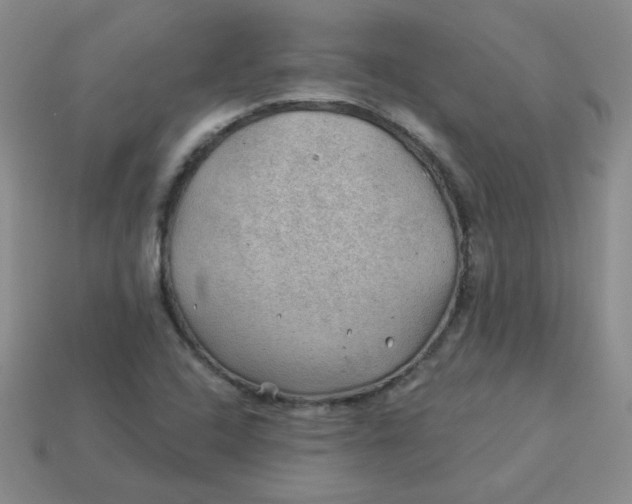 X0000113901408200910151345