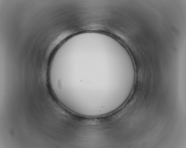 X0000113901410200910151345