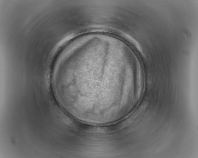 X0000113901411200910151345