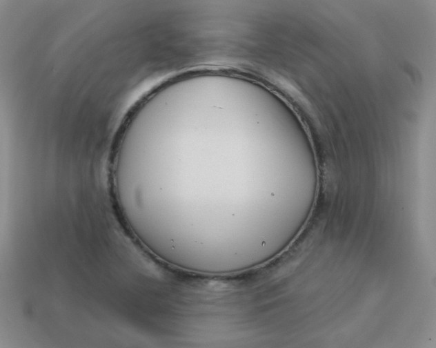 X0000113901412200910151345