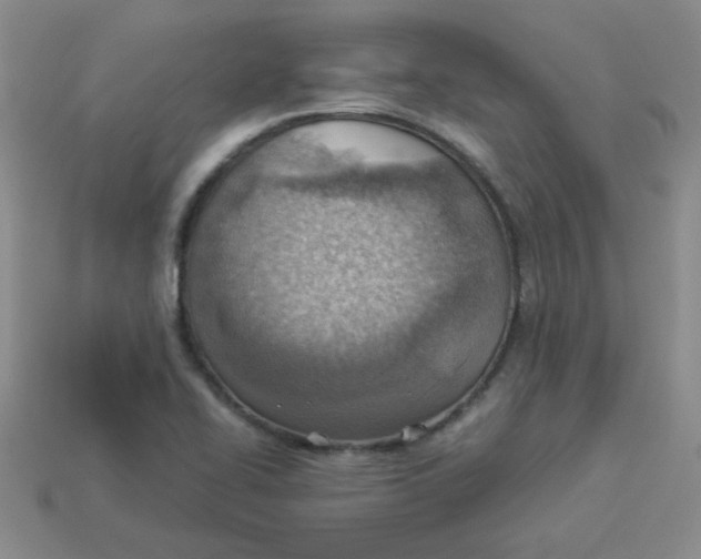 X0000113901414200910151346