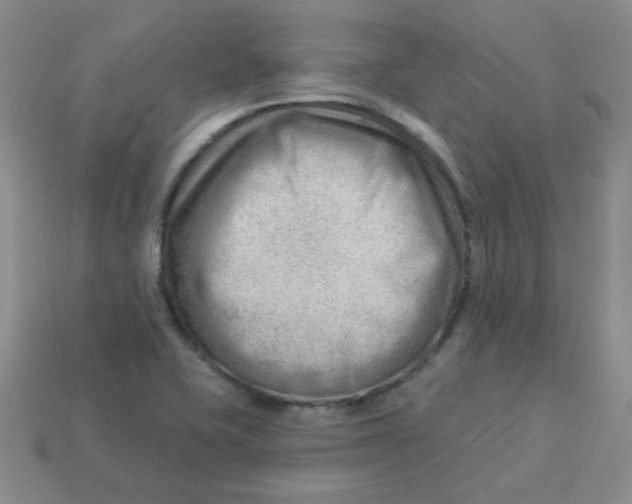 X0000113901415200910151346