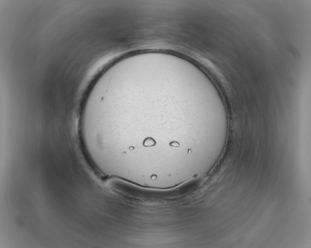 X0000113901416200910151346