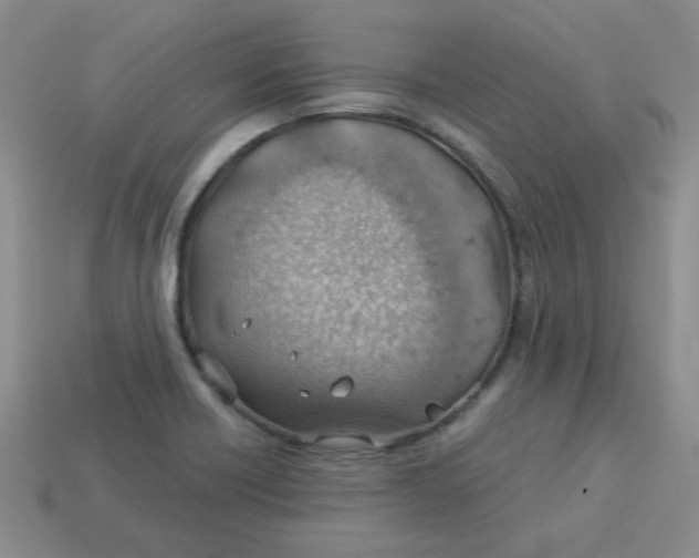 X0000113901418200910151346