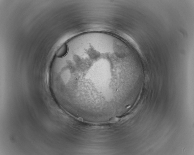 X0000113901419200910151346