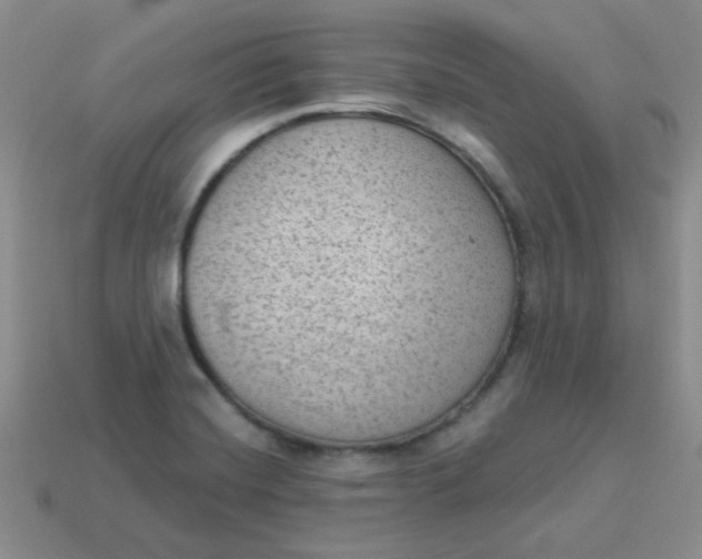 X0000113901420200910151346