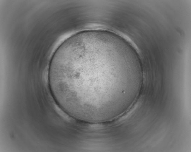 X0000113901421200910151346