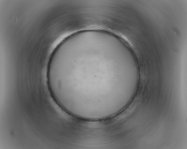 X0000113901422200910151346