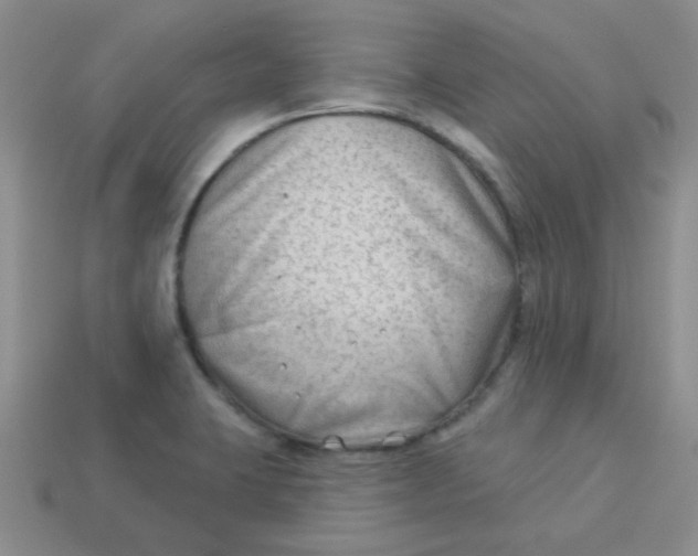 X0000113901423200910151346