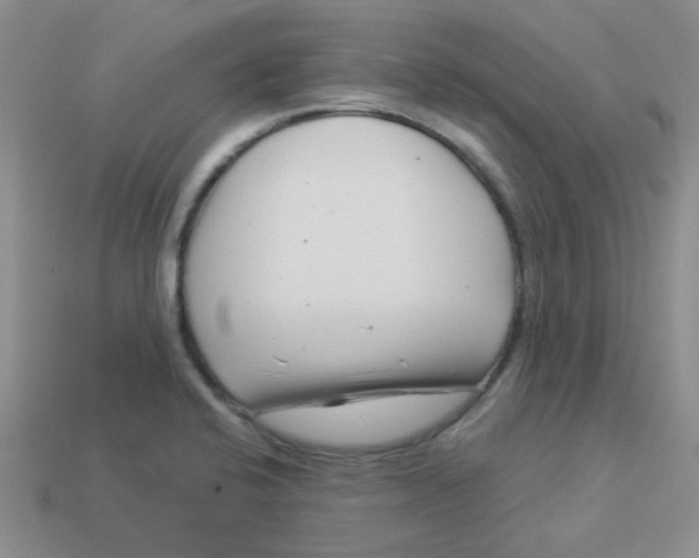 X0000113901424200910151346