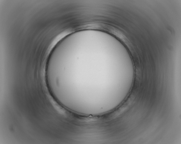 X0000113901426200910151346